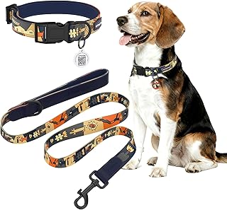 Nachthimmels Stil Personalisierte Hundeleine und Halsband Set Verstellbar, mit Hundemarke qr Code, Passend für Welpen und kleine Hunde S (Hals: 28 –43 cm, Leine: 1.5 m)