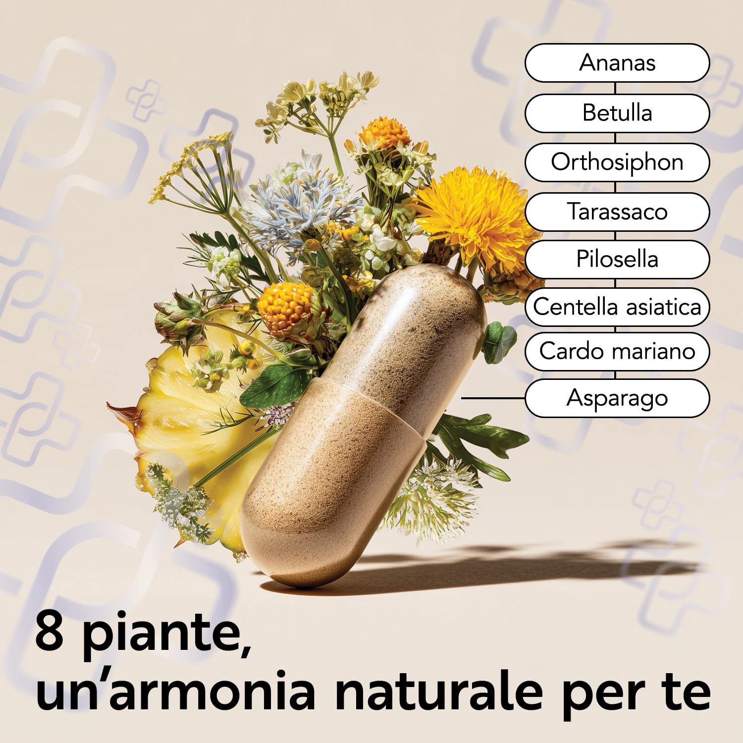 Drenante Diuretico Naturale 240 Capsule PiùLife, 8 Estratti Vegetali, Ananas Bromelina E Centella Asiatica, Betulla, Orthosiphon, Tarassaco, Pilosella, Cardo Mariano Depurativo, Asparago Detox