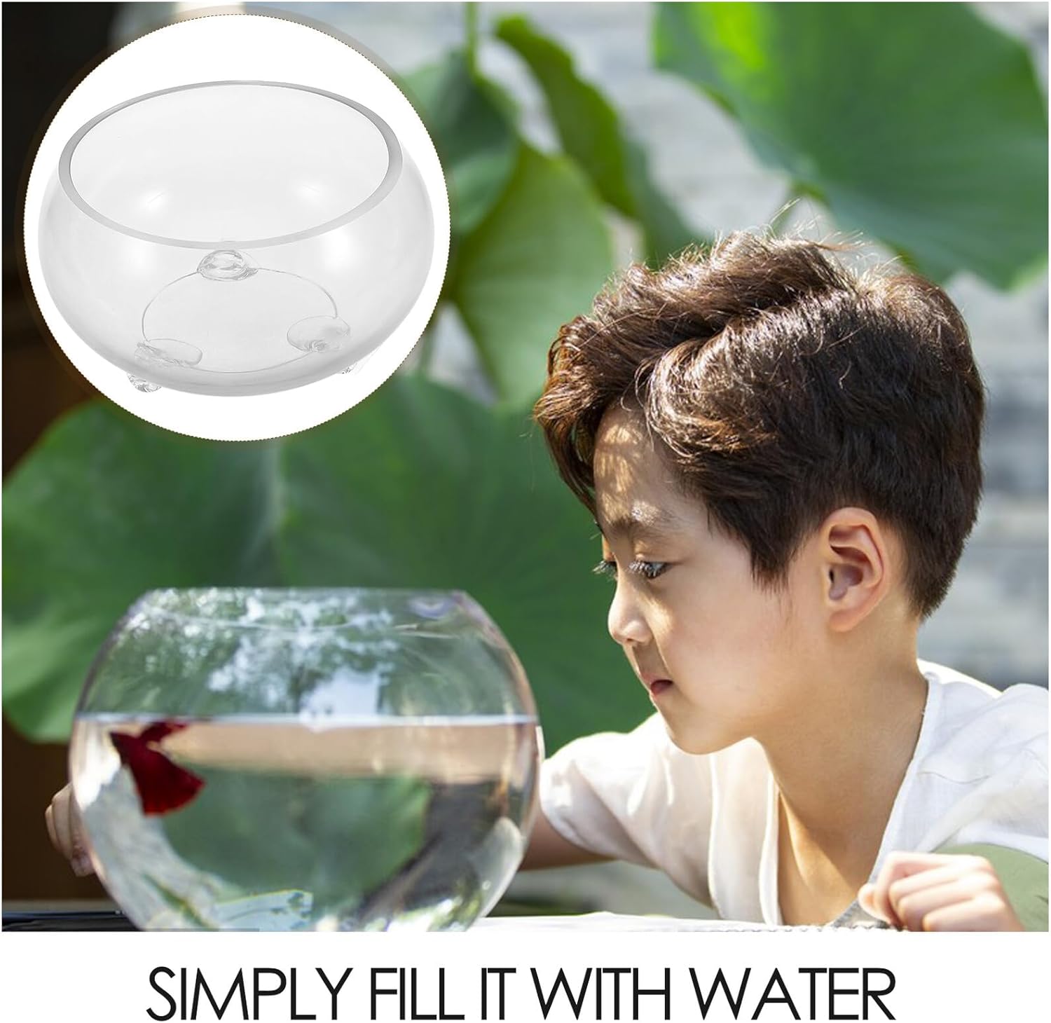 Glass Fish Bowl Bubble Terrarium Hydroponic Planter Round Small Decorative Vase for Succulents and Air Plants Home Office Centerpiece