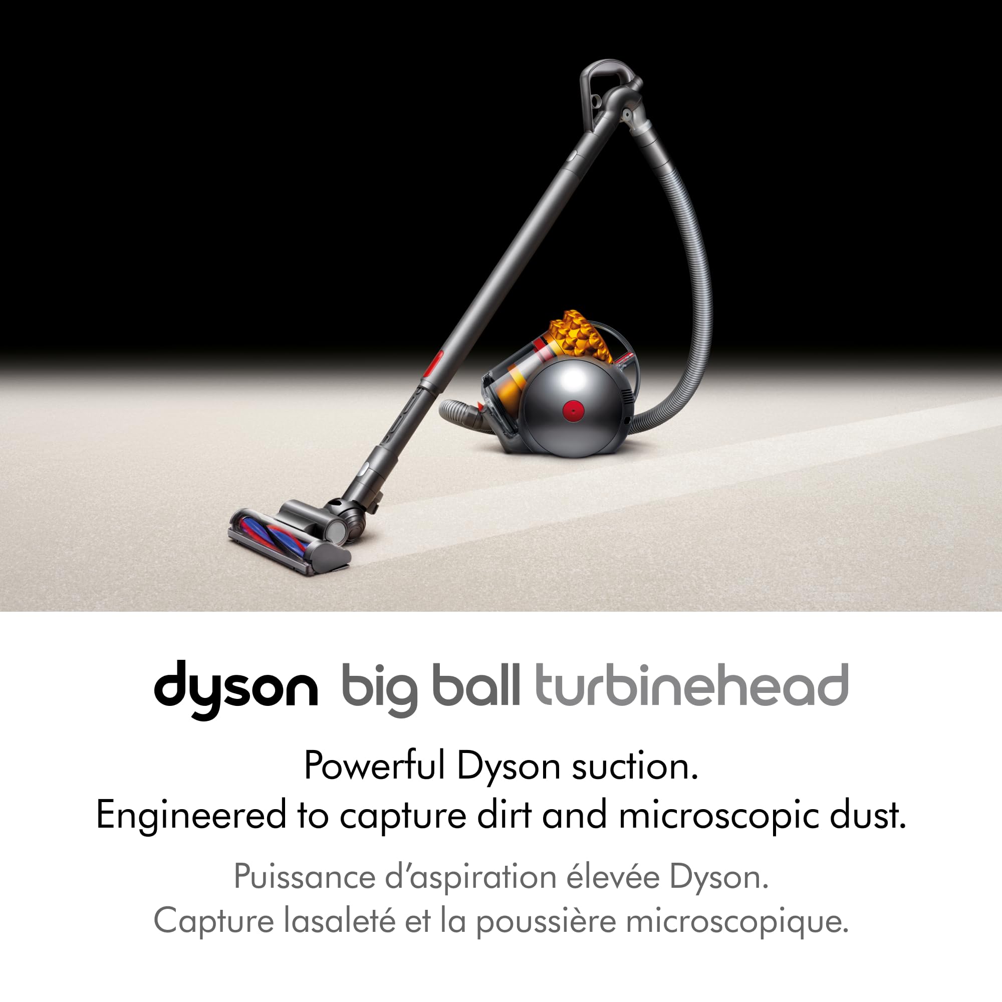 Dyson ball Motörhead+ Dyson Big Ball Turbinehead : Amazon.ca: Home