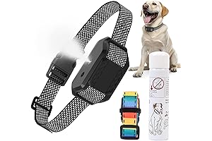 Citronella Anti-Bark Collar: Keep Your Dog Quiet Naturally