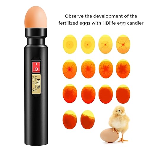 Miniatura 7 de HBlife Probador de velas de huevos con luz LED brillante para ver el desarrollo de huevos con 2 accesorios de goma suave para huevos alimentado solo