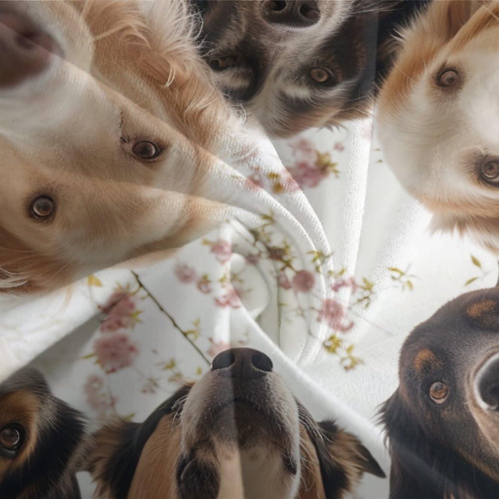 Juego de Funda nórdica 3D Perros Lindos 3 Piezas Microfibra Ropa de Cama decoración Dormitorio Adultos jóvenes Amantes de Mascotas Suave Transpirable Super King（260x220cm）