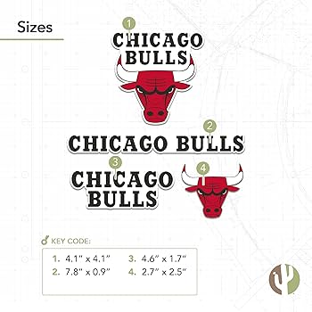 Amazon.com: Desert Cactus Chicago Bulls NBA Officially