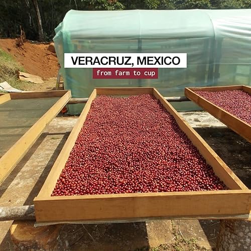 Miniatura 6 de 52 ALTURA, Café Artesano Mexicano, Colección Premium Café Molido - Veracruz