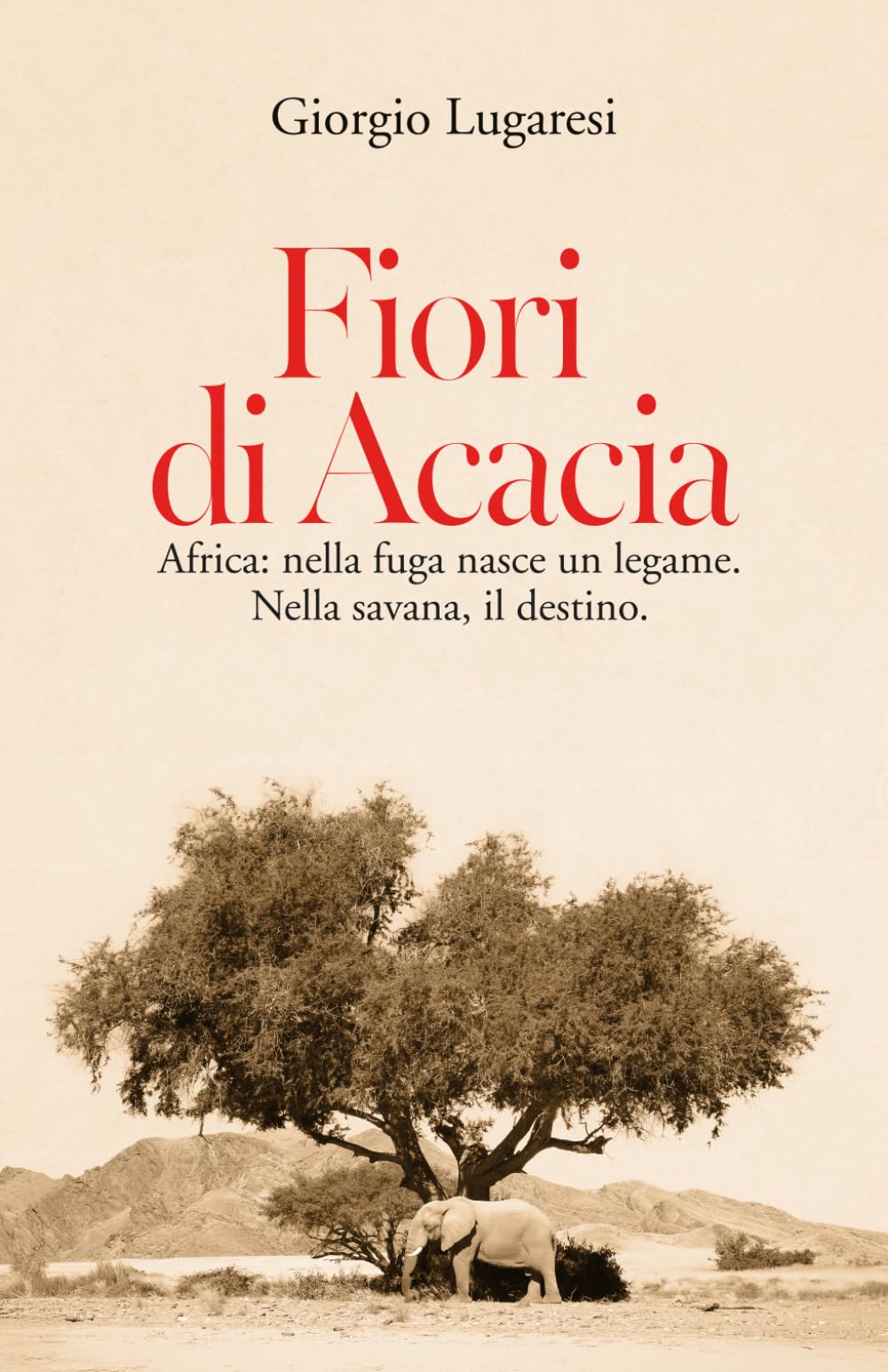 Fiori di Acacia: Africa: nella fuga nasce un legame. Nella savana, il destino
