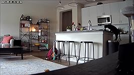 Review Image by Kyliegh Henslee Kyliegh Henslee