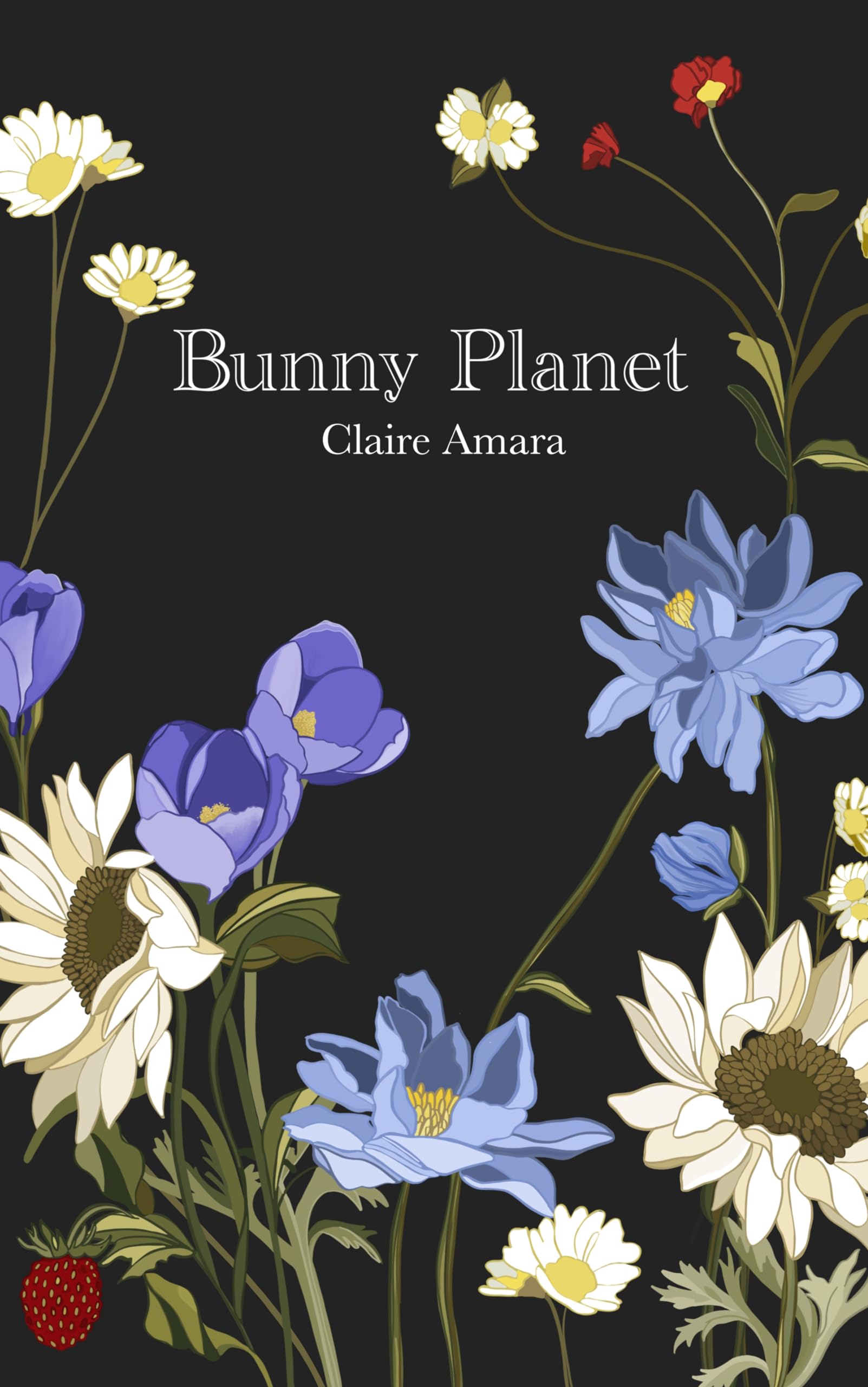Livre Bunny Planet (English Edition) pour enfants