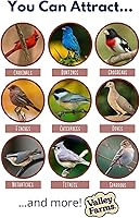 Vista 3 de Valley Farms Cardinal Mix (10 libras) Alimento para pájaros silvestres para comederos exteriores, semillas de ave cardenal con semillas de girasol