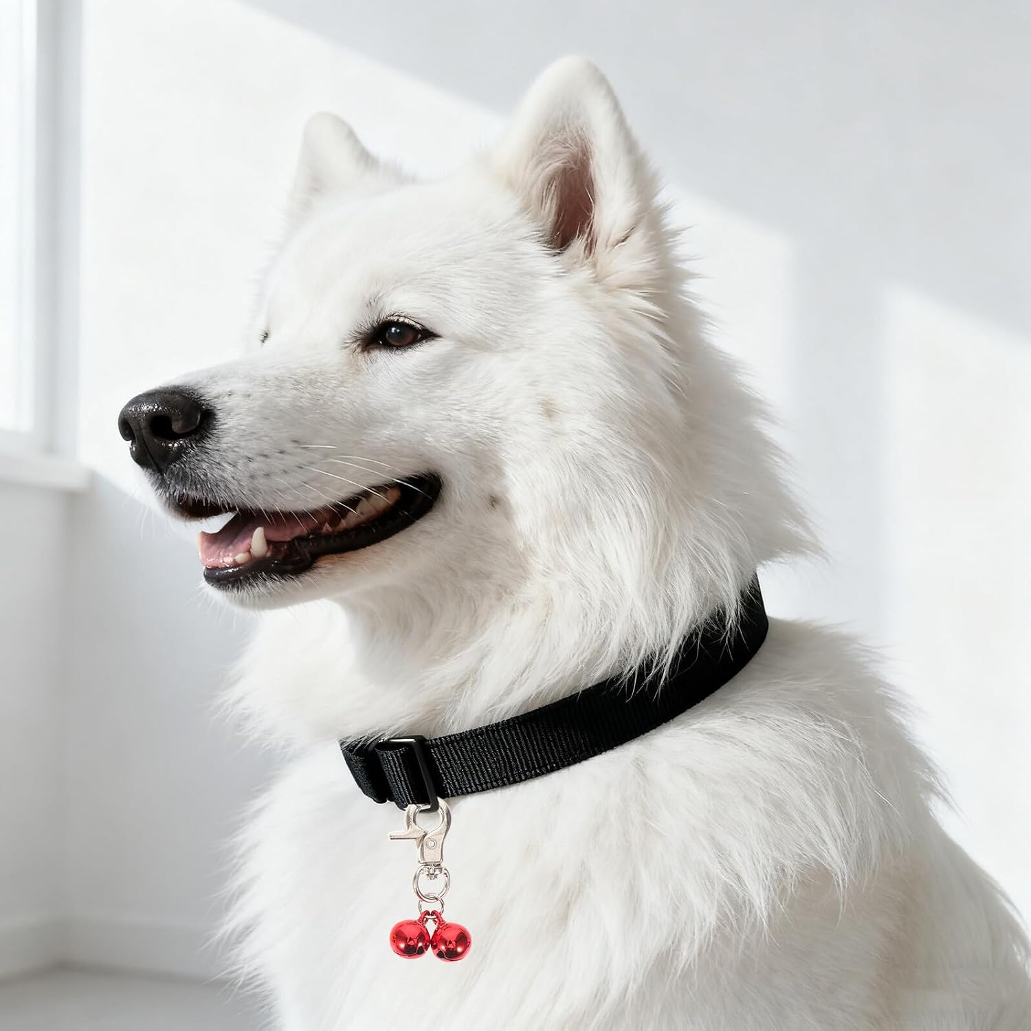 YARNOW 5pcs Pet Collar Bells and Charms Set with Metal Buckles, Colorful Hanging Bell Charms for Dog and Cat Collars, Puppy Charm Pendants for Festival Party and Daily Use