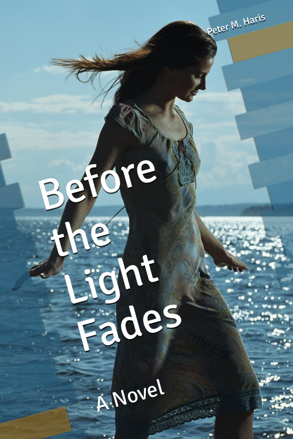 Before the Light Fades: A Novel: 3 (The Rain and Light Collection)