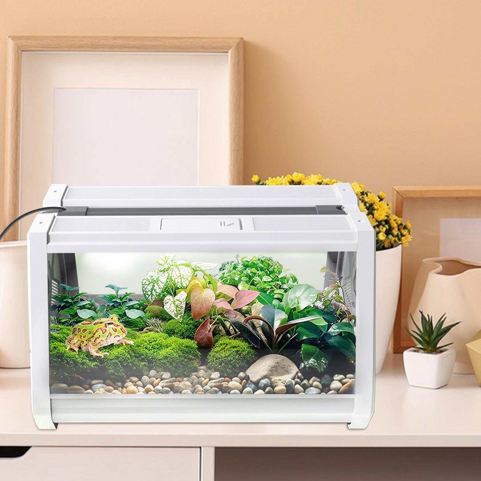 Terrario per Rettili Vasca per Animali Esotici | Recinto Viaggio Portatile Antifuga Con Ventilazione Per Tartarughe Rane E Lumache