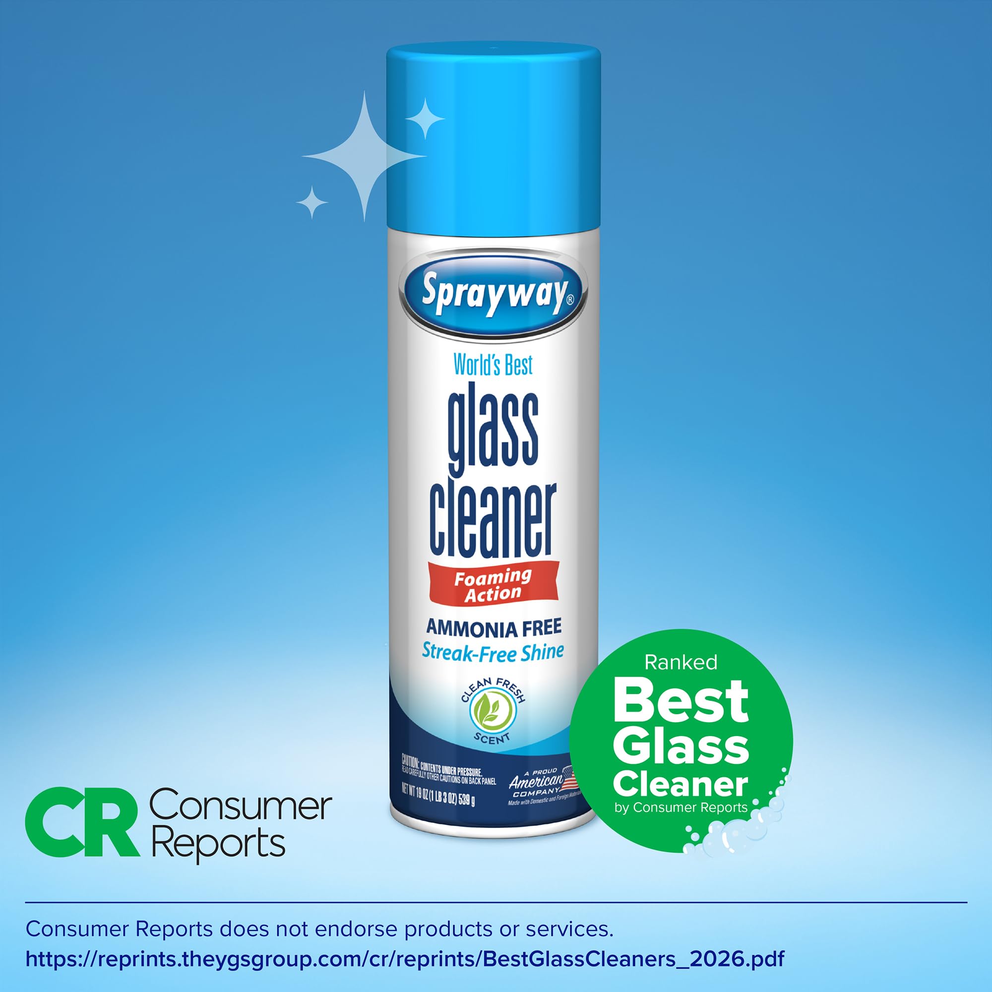 19oz Pack of 2 Ammonia-Free Glass Cleaner Aerosol Spray L26415