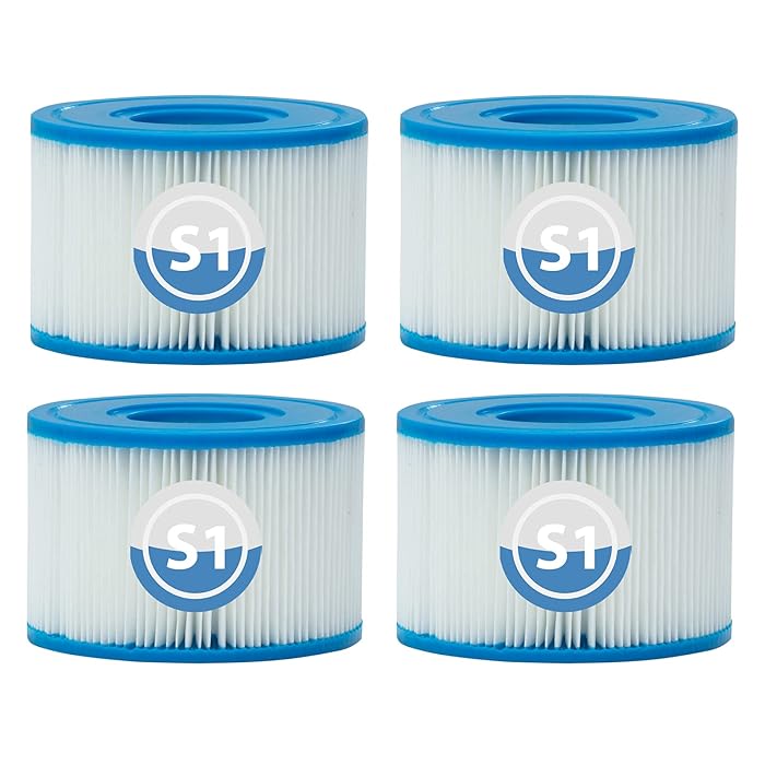 Buy Lucasou Type S1 Replacement Cartridges for PureSpa Easy Set Pool