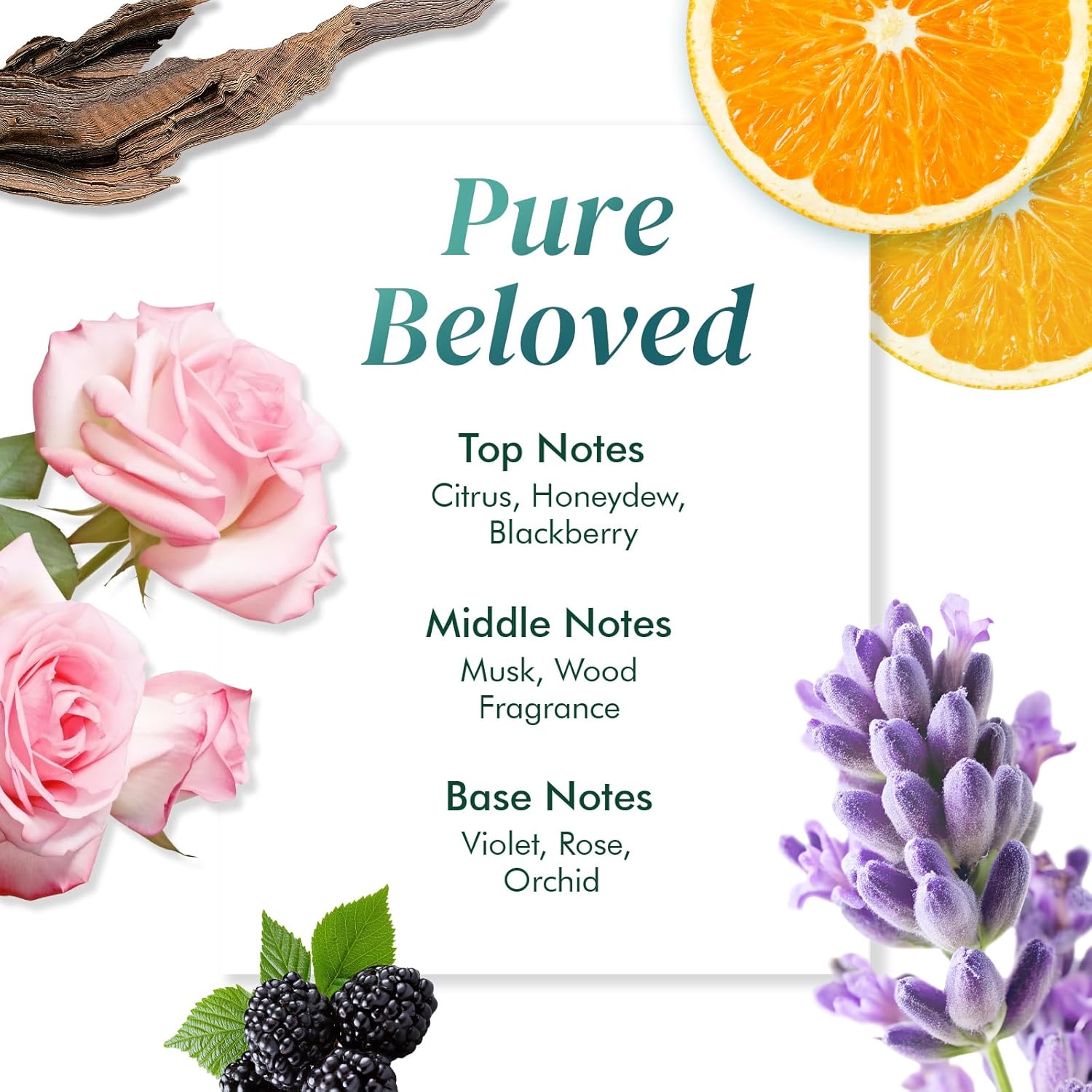 ALFHEIM Saw Palmetto Scalp Serum for Boost Follicle - Infused With Caffeine, Biotin for Thicker Hair - Balance Scalp, Rejuvenate Hair Follicles & Improve Hair Density - 1.69 fl oz + Serum Applicator - Image 7