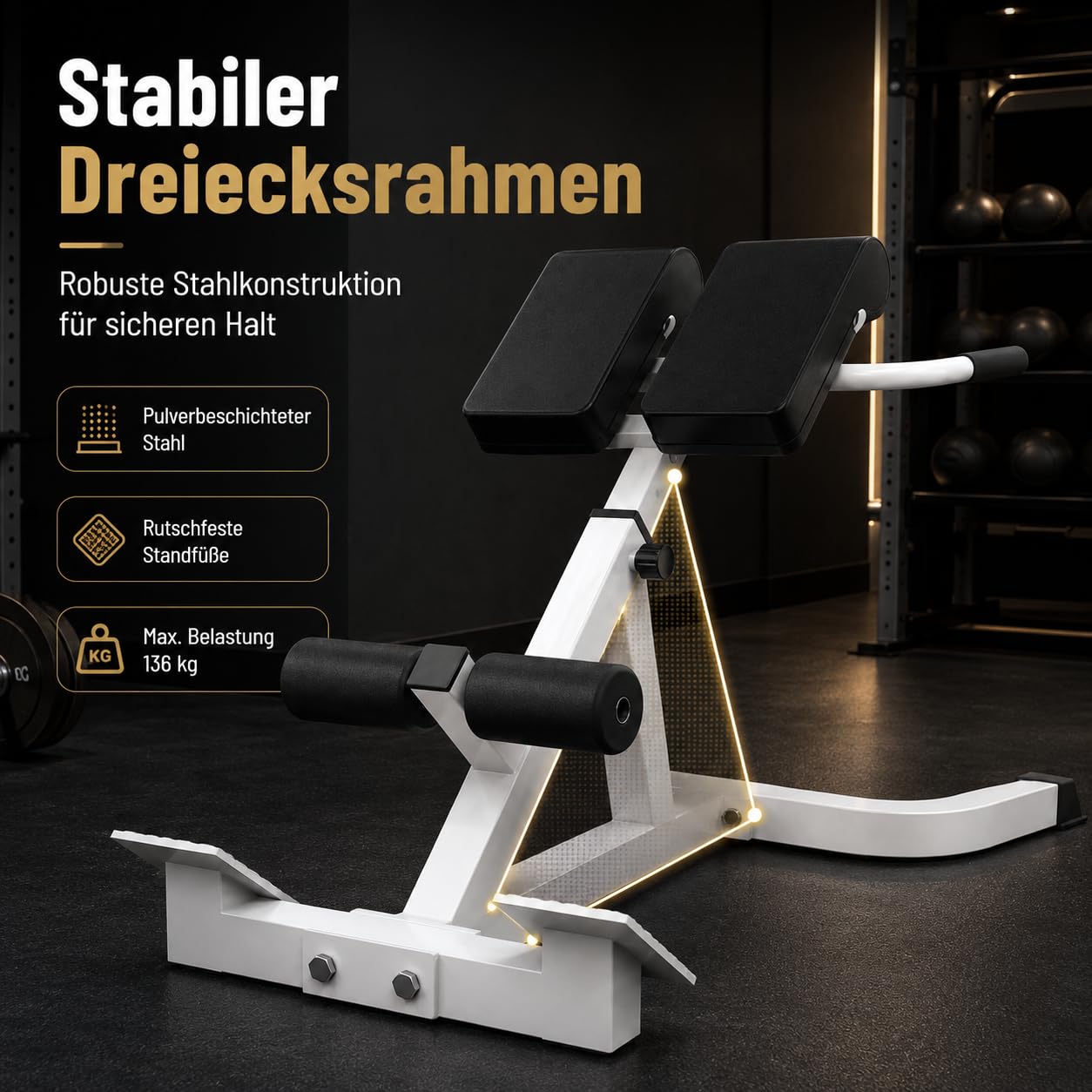 Roman Chair Hyperextension Panca per esercizi addominali e schiena - Panca fitness multifunzionale con altezza regolabile, imbottitura e gambe in schiuma - portata 300 lbs