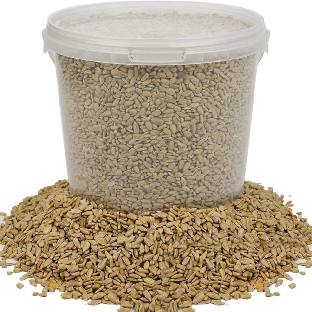 BusyBeaks Sunflower Hearts Wild Bird Food | Finest Bakery-Grade Garden Seed Mix | Husk Free and Dehulled No Mess Seeds | Nutritious Natural and Healthy Feed Mixture | Balanced Vitamin Recipe (1L Tub)