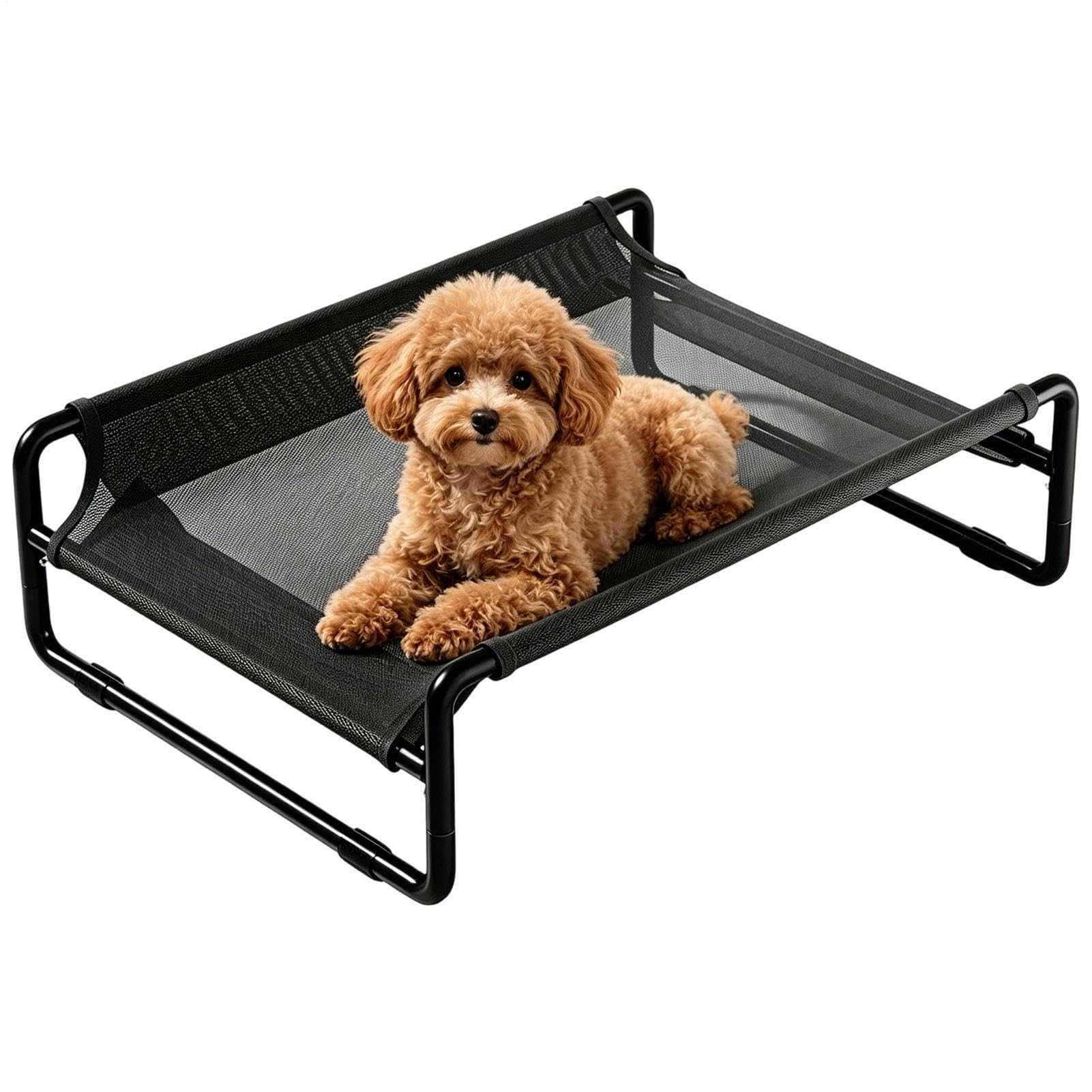 rialzato per cani Lavabile Traspirante | Cuccia da esterno per cani Per cani piccoli cuccioli gatti picnic esterno campeggio
