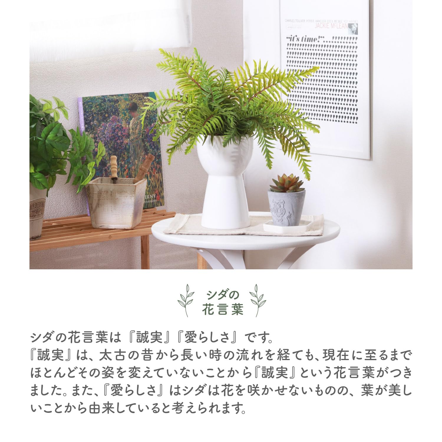 Amazon｜不二貿易 フェイクグリーン インテリアグリーン 人工観葉植物