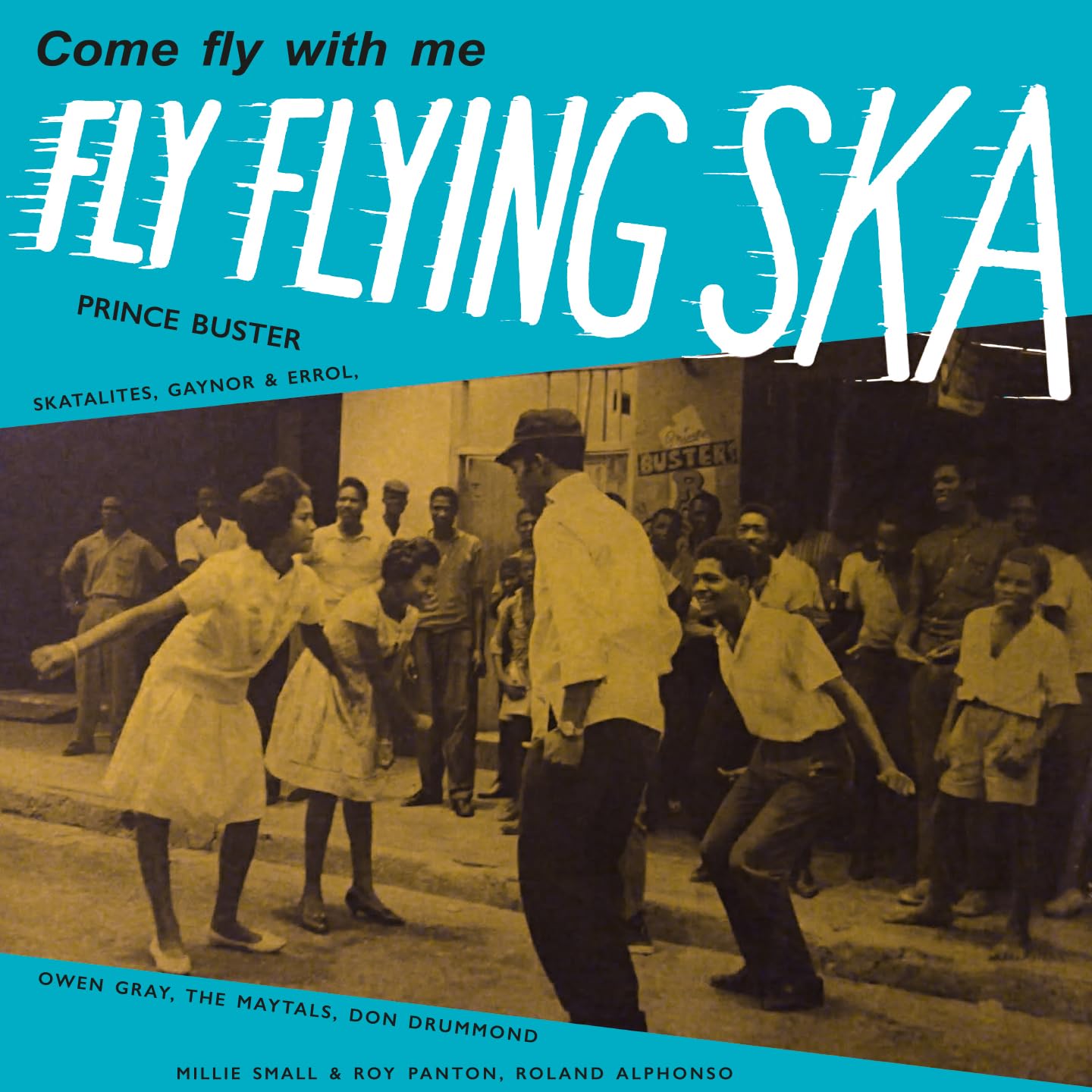 Vinyl Castle Fly Flying Ska