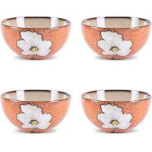 28oz Ceramic Bowls Set of 4 for Kitchen, 6 Inch Hand-painted Floral Serving Bowls, Dishwasher Microwave Oven Safe, for Salad, Pasta, Ramen, Rice & Dessert, Breakfast Lunch Dinner, Pink