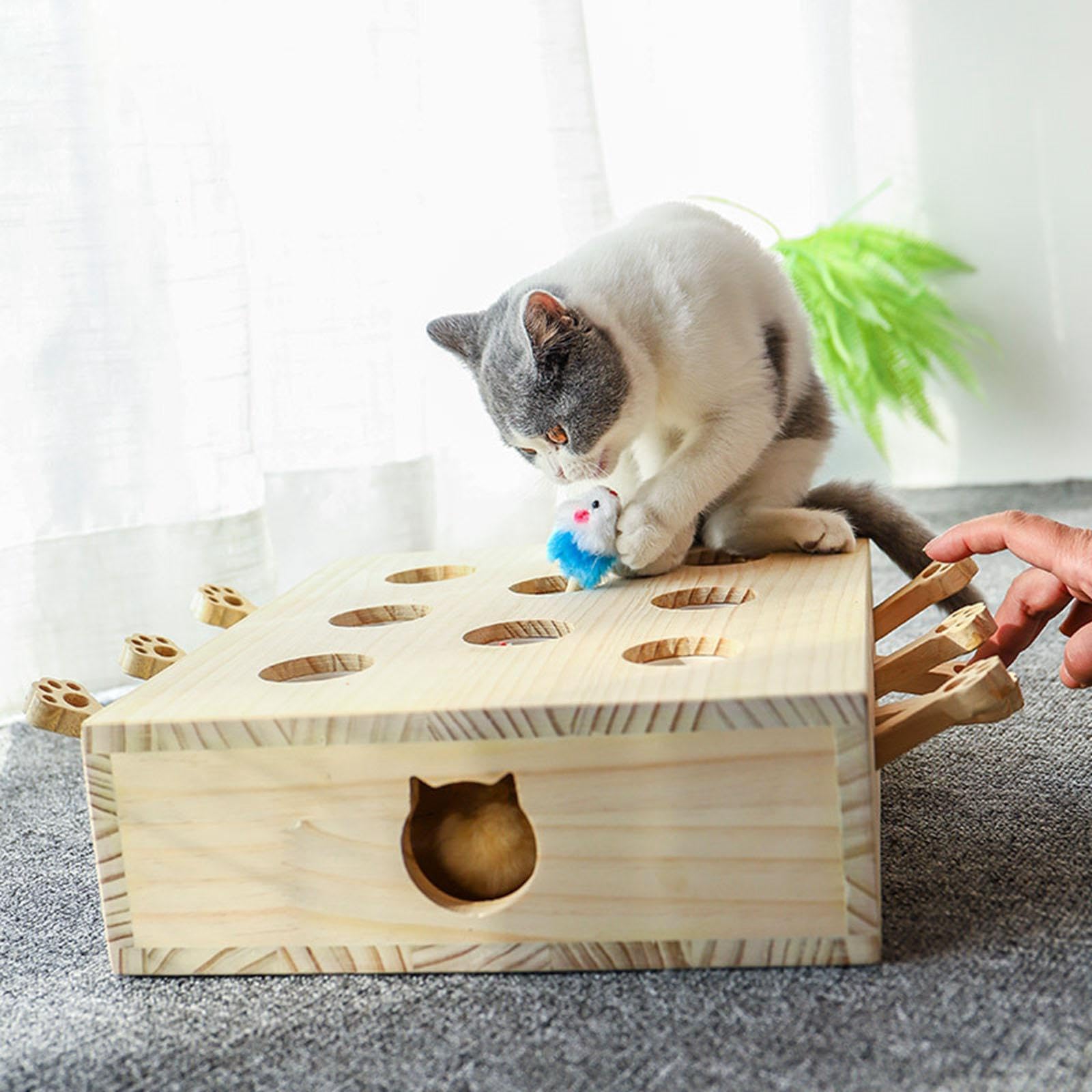 Los Juguetes de para Madera para Gatos ofrecen una Experiencia única de Juego atrapar Ratones Que Mantiene a los felinos entretenidos en el Interior. Juego atrapar Ratones para Madera.