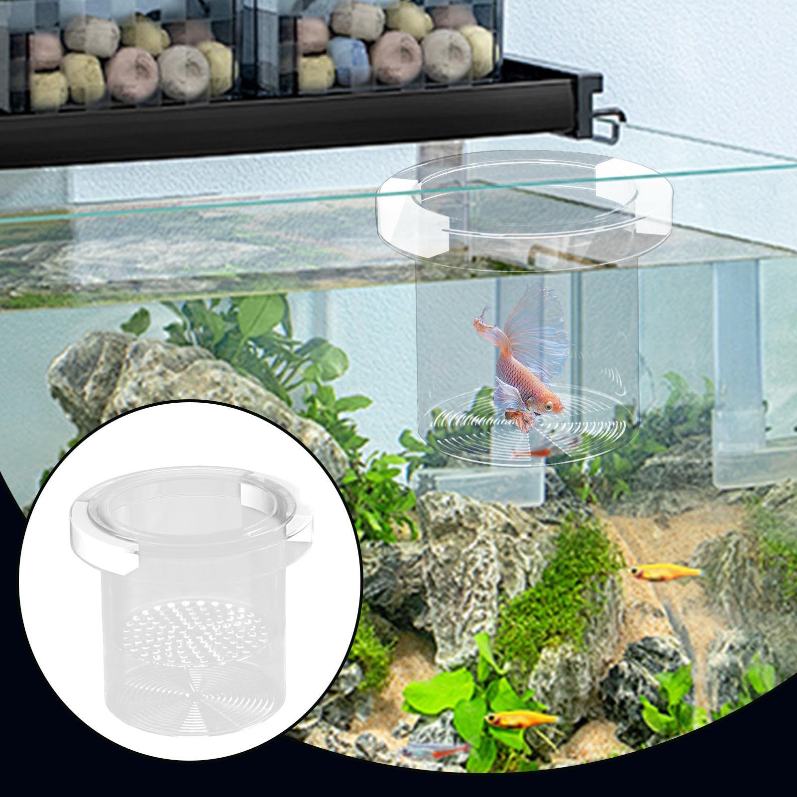 Scatola per allevamento di pesci per acquario, separatore di pesci per acquario, divisore sicuro per vivaio di acclimatazione Guppy gamberetti Betta Fry Hatchery