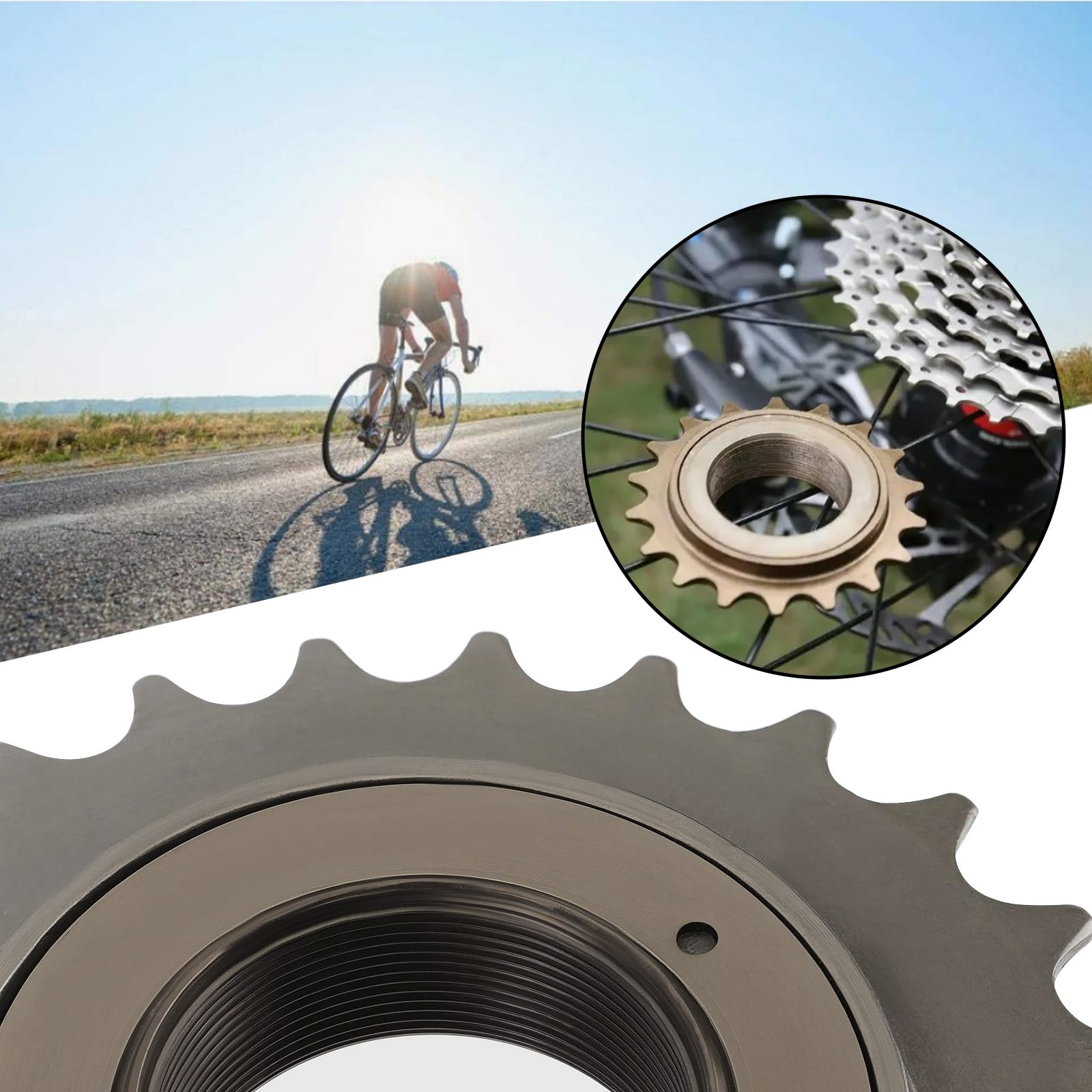 The Lord of the Tools 2 Pezzi 24 Denti Bici Ruota Libera Monomarcia ID 34mm OD100mm Per Catena 1/2" X 1/8" Accessorio Per Bicicletta Marrone