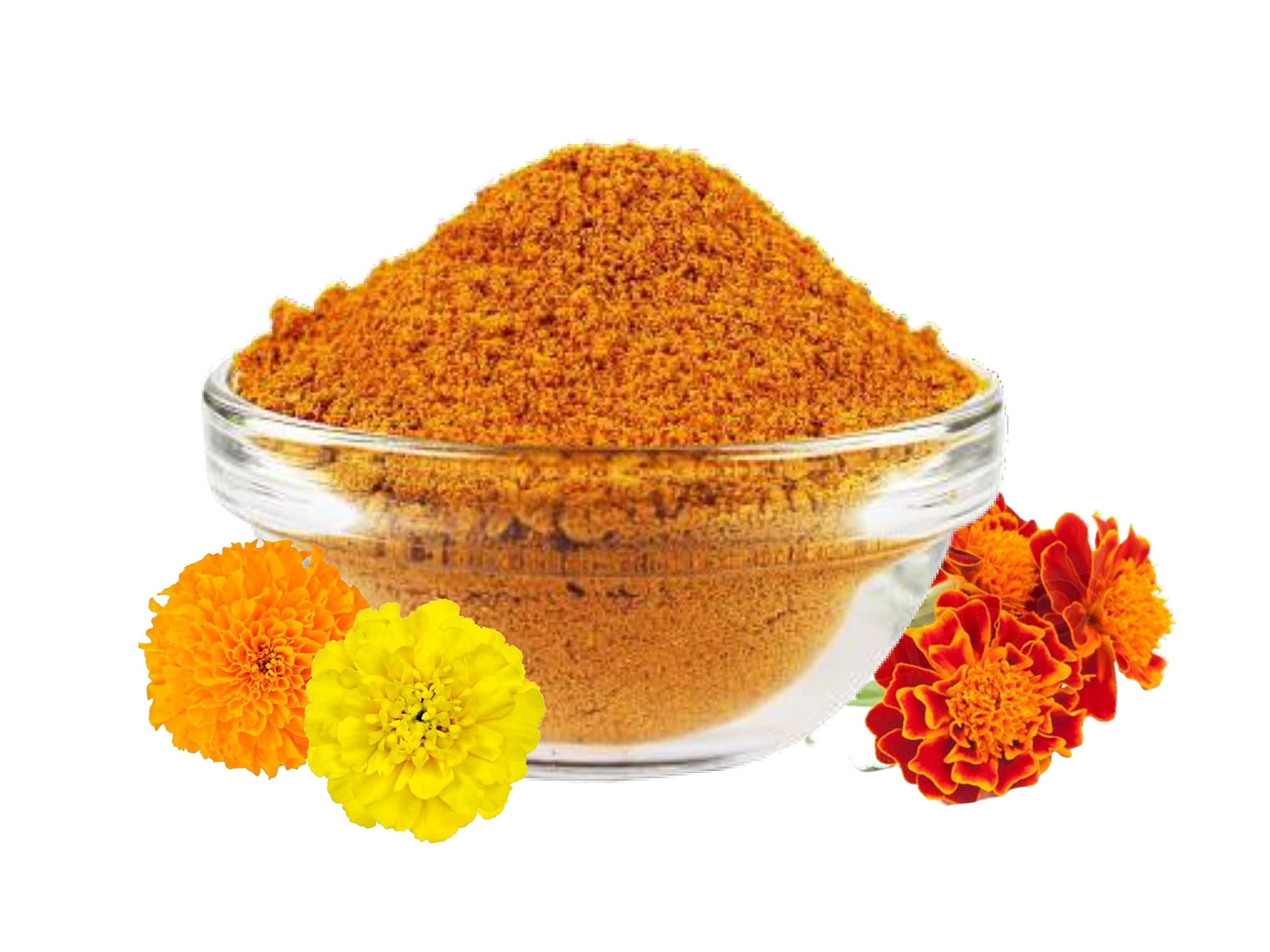 Marigold flower powder manufacturer Marigold flower powder manufacturer