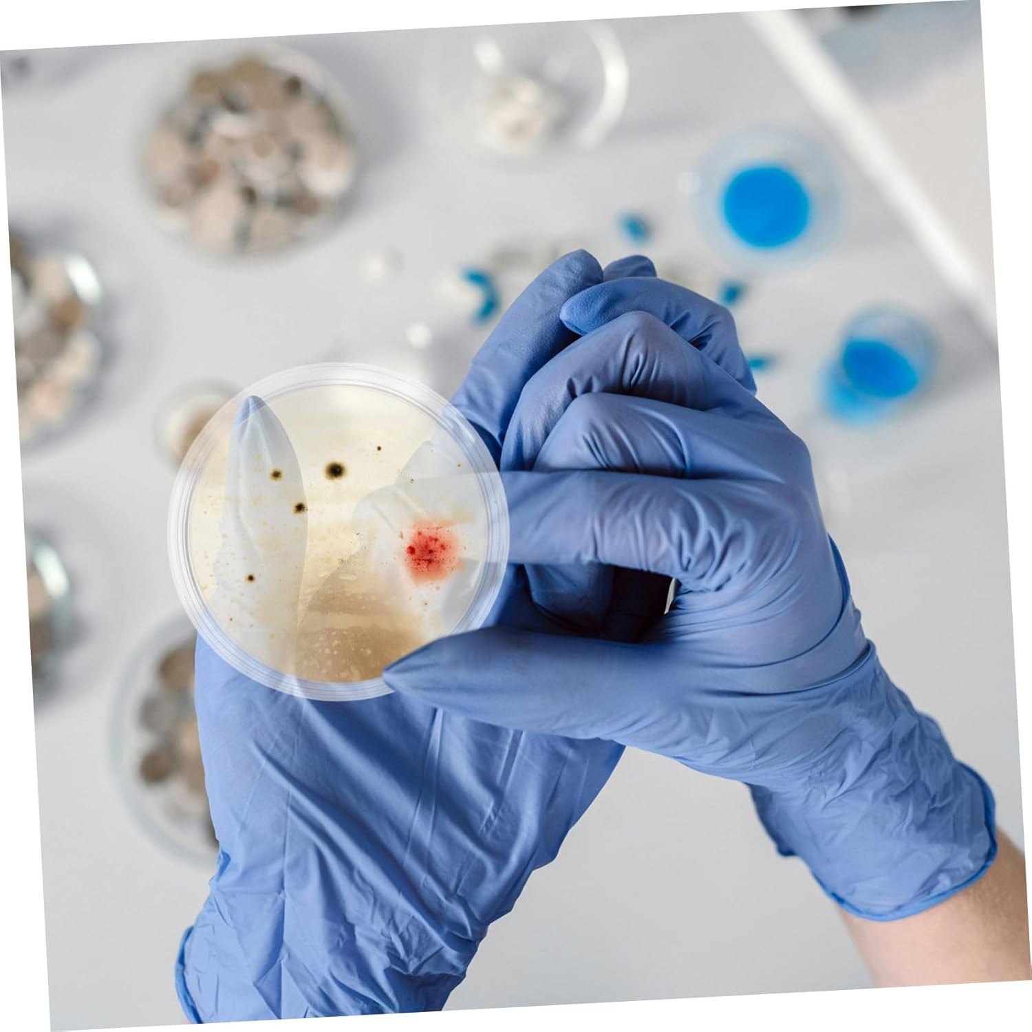 10pcs Glass Petri Dishes Lids Reusable Laboratory Plates for Cell Culture Experiments