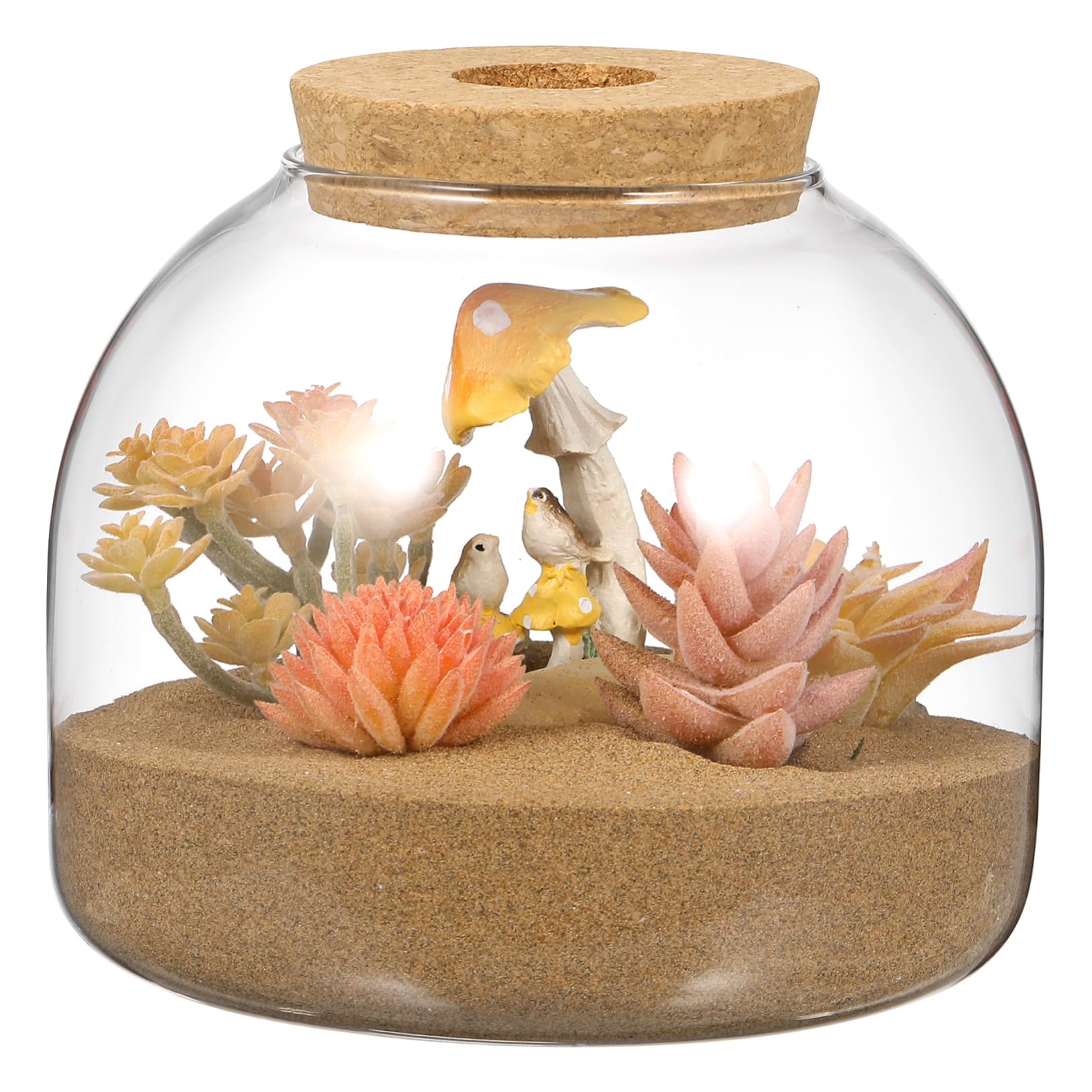 Kleines Terrarium für Pflanzen Dekoratives Gefäß mit Korkdeckel für Moos und Miniaturgärten Perfektes Wohnaccessoire und für Pflanzenliebhaber