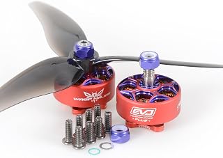 RCINPOWER Wasp Major EVO Plus 2200KV Brushless Motor(1PC EVO Plus 2200KV)