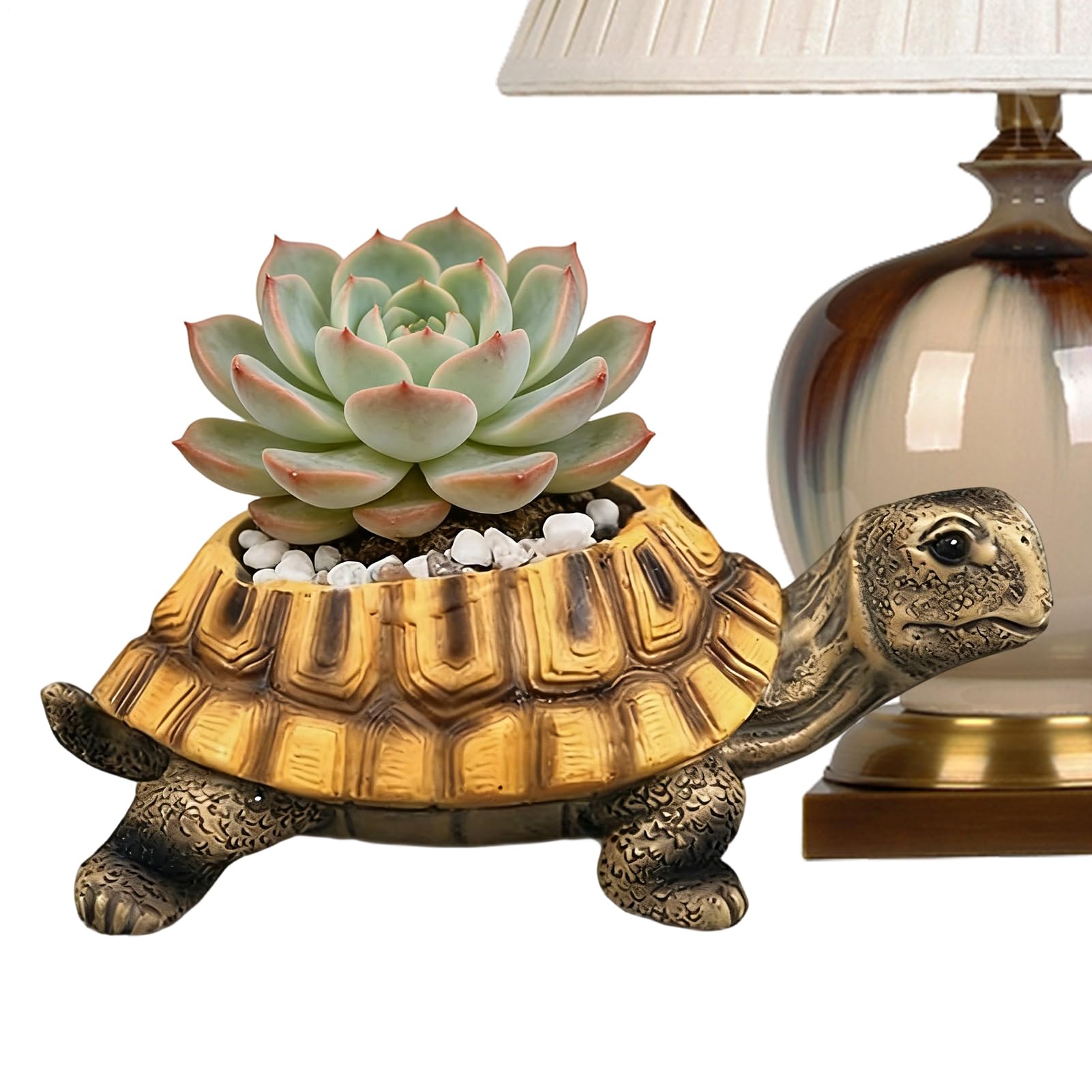 Pot de fleurs tortue avec drainage pour cactus et plantes d'intérieur