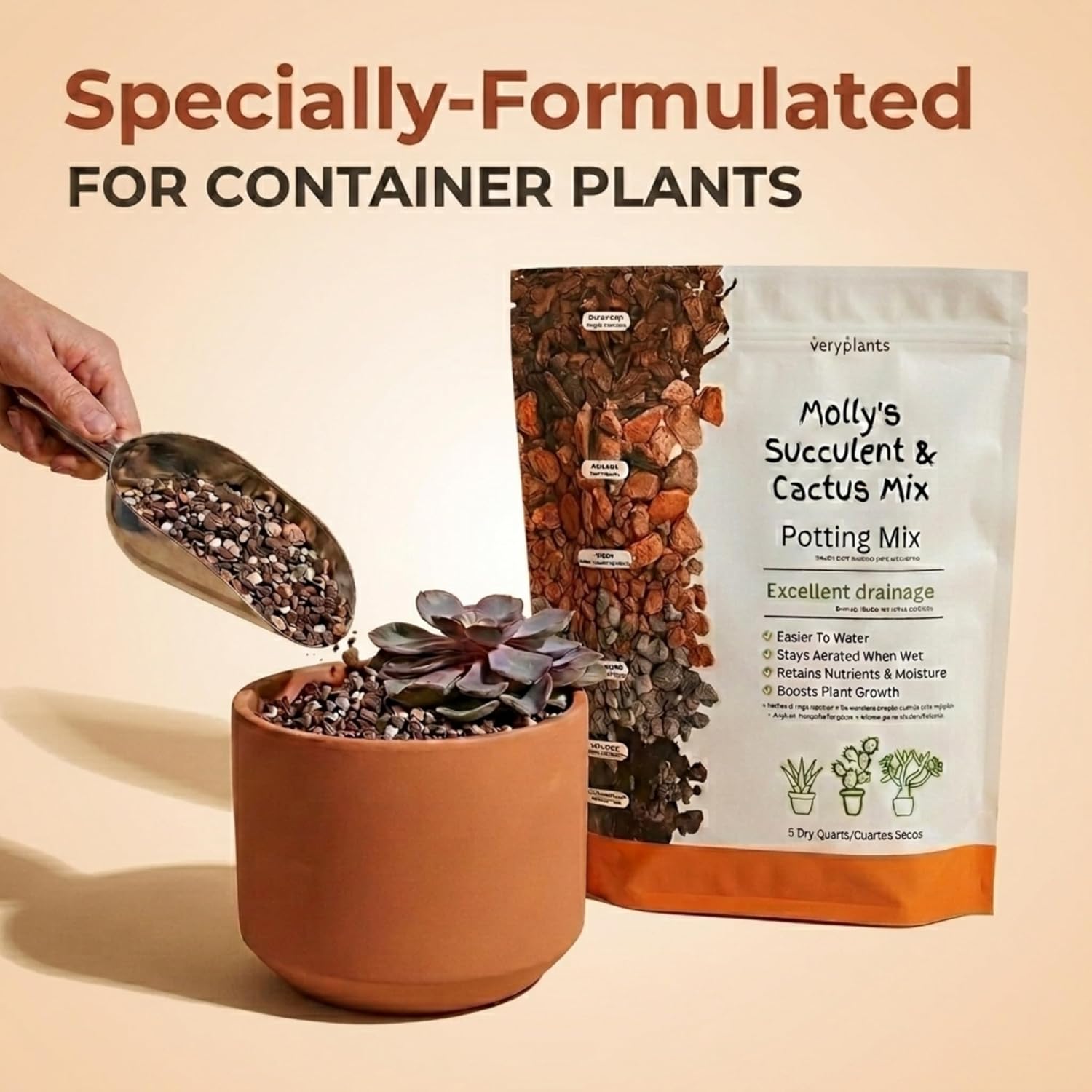Molly's Succulent Mix - Premium Gritty Soilless Potting Mix for Succulents, Cactus and Bonsai - Contains Akadama, Hyuga, Bark Fines, Pumice, Lava Rock, Mycorrhizae 5 Dry Quarts