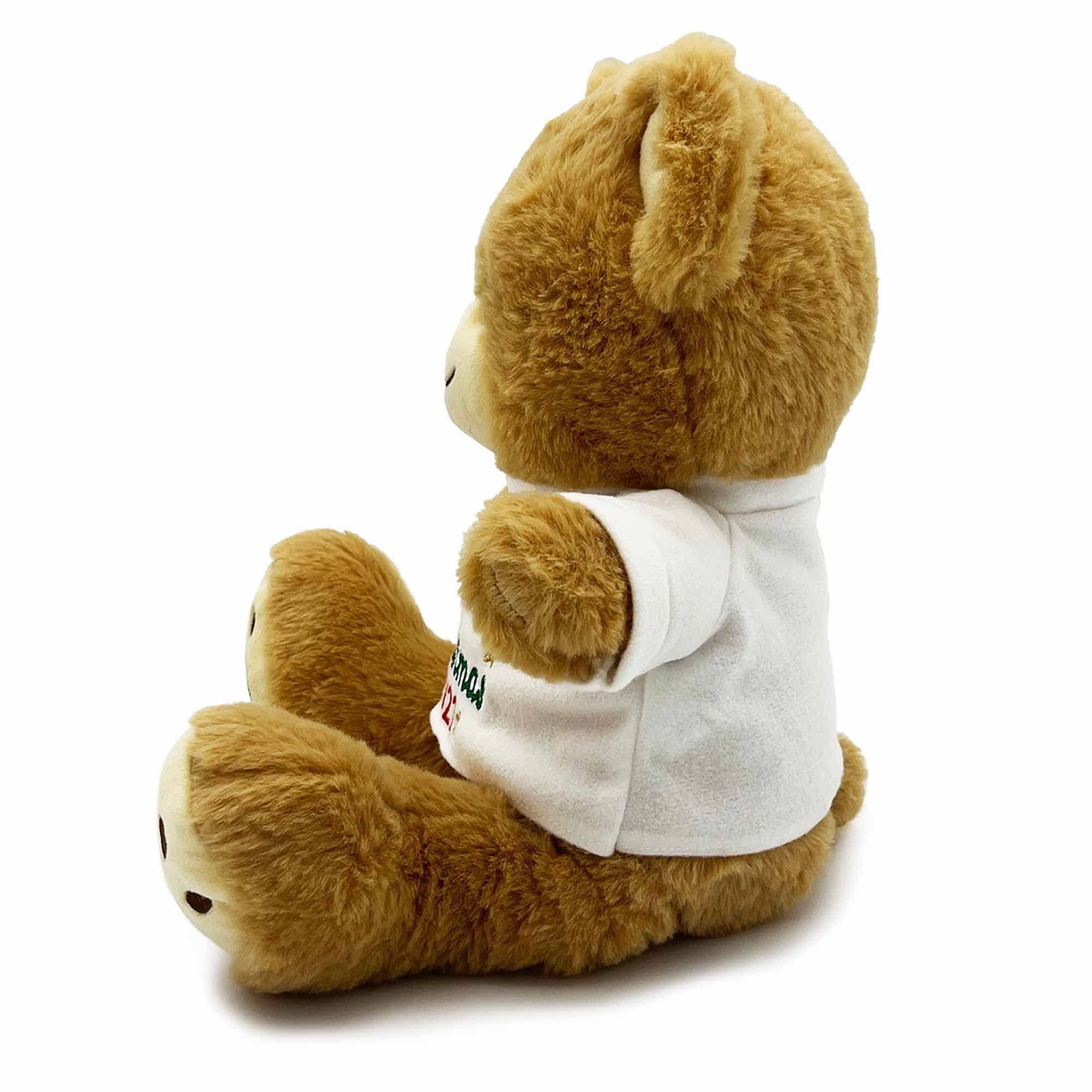 personalised 1st christmas teddy