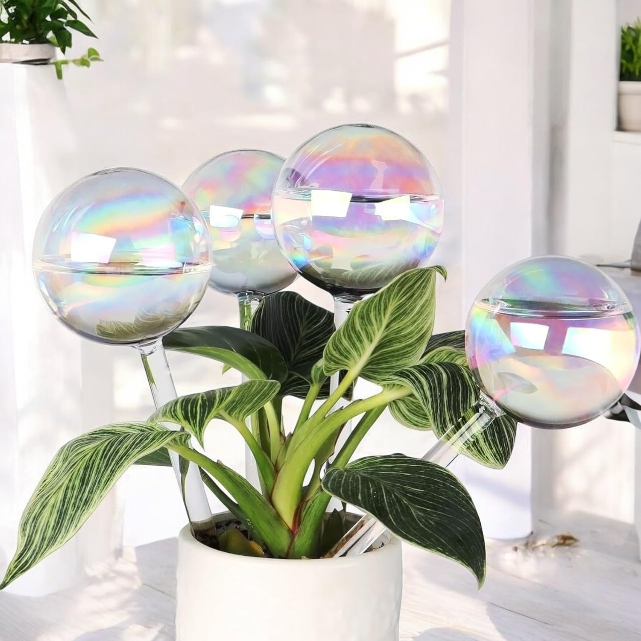 ecofynd Pack of 1 Self Watering Planter Insert, Light Clear Glass Dropper, Long-Lasting and Automatic Plant Globes for Indoor and Outdoor Garden (GA005) (B0D6K6SWBW) Amazon Price History, Amazon Price Tracker