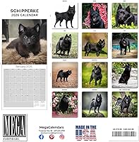 Vista 807 de Razas de Perros 2017