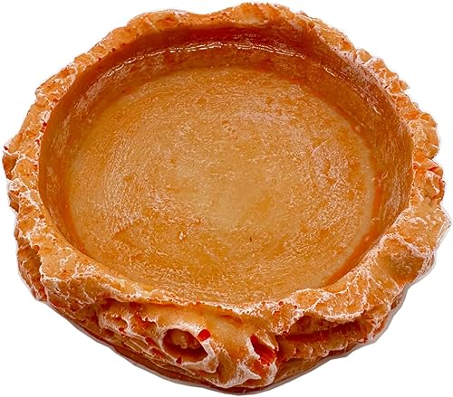 Miniatura 16 de Plato pequeño de comida para reptiles, paquete de 2 cuencos de comida para reptiles para dragón barbudo, gecko, lagarto, rana, cangrejo ermitaño