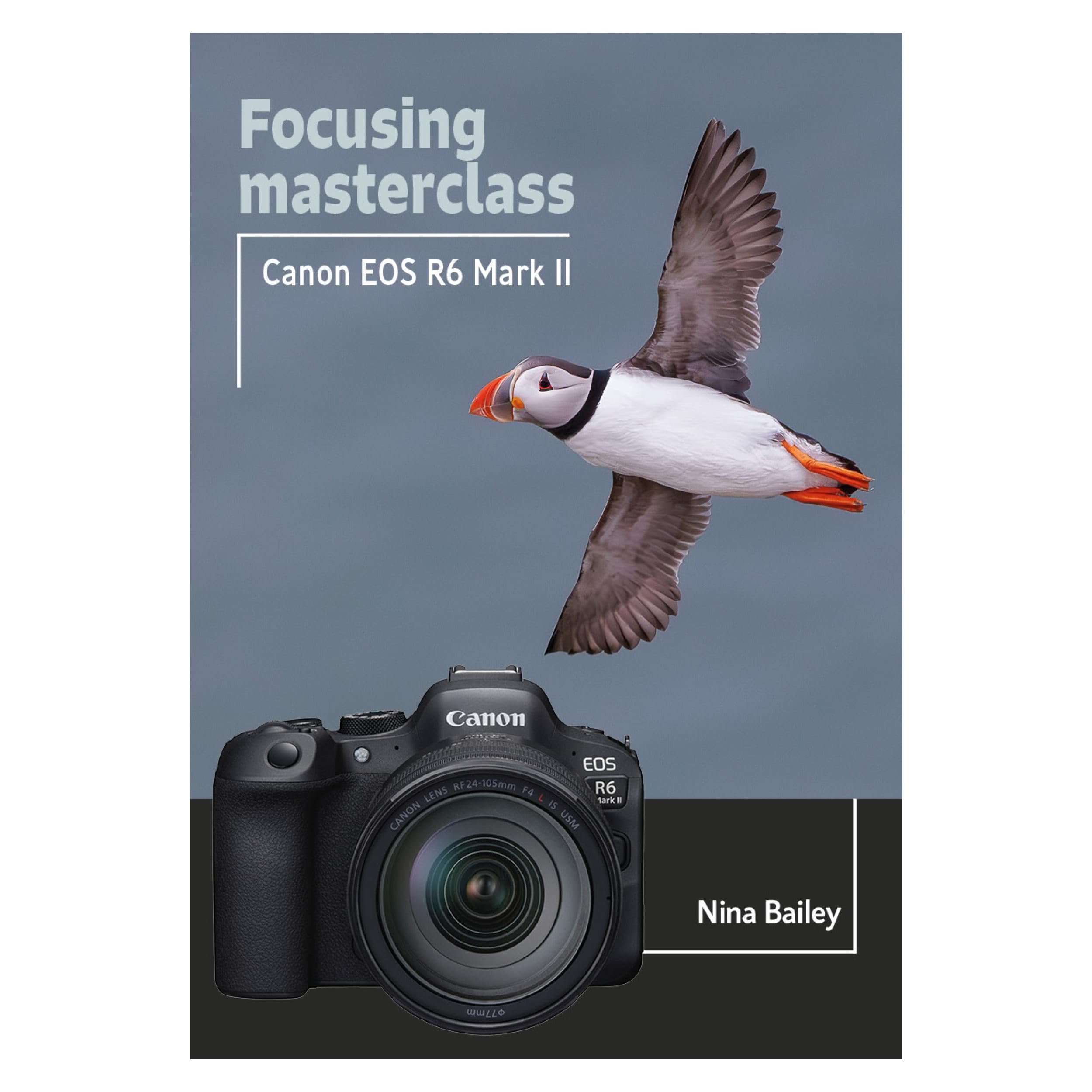 Focusing Masterclass for the Canon EOS R6 Mark II