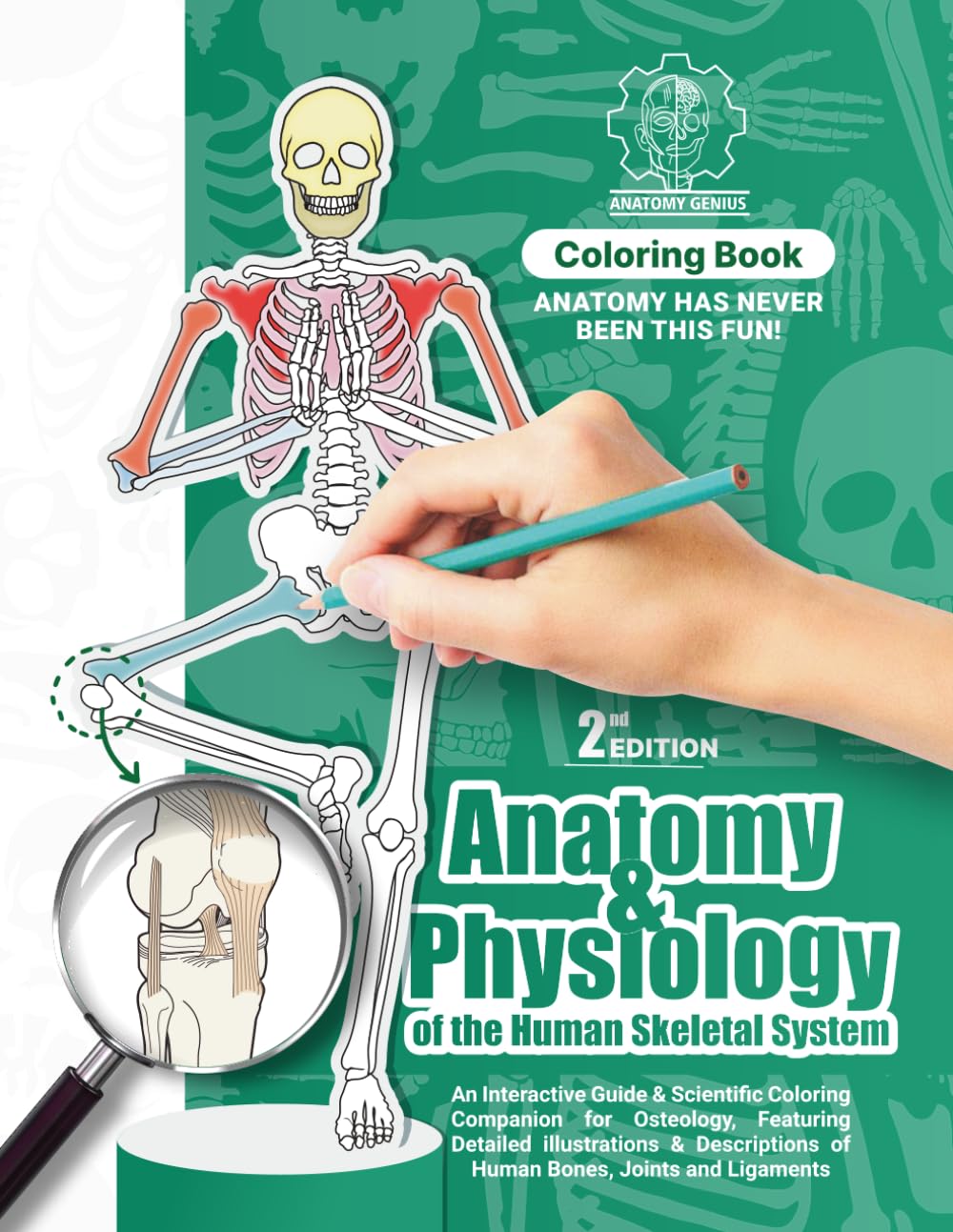 Anatomy and Physiology of the Human Skeletal System: An Interactive Scientific Coloring Companion for Osteology | Detailed Illustrations and ... for Anatomy Enthusiasts and Medical Students
