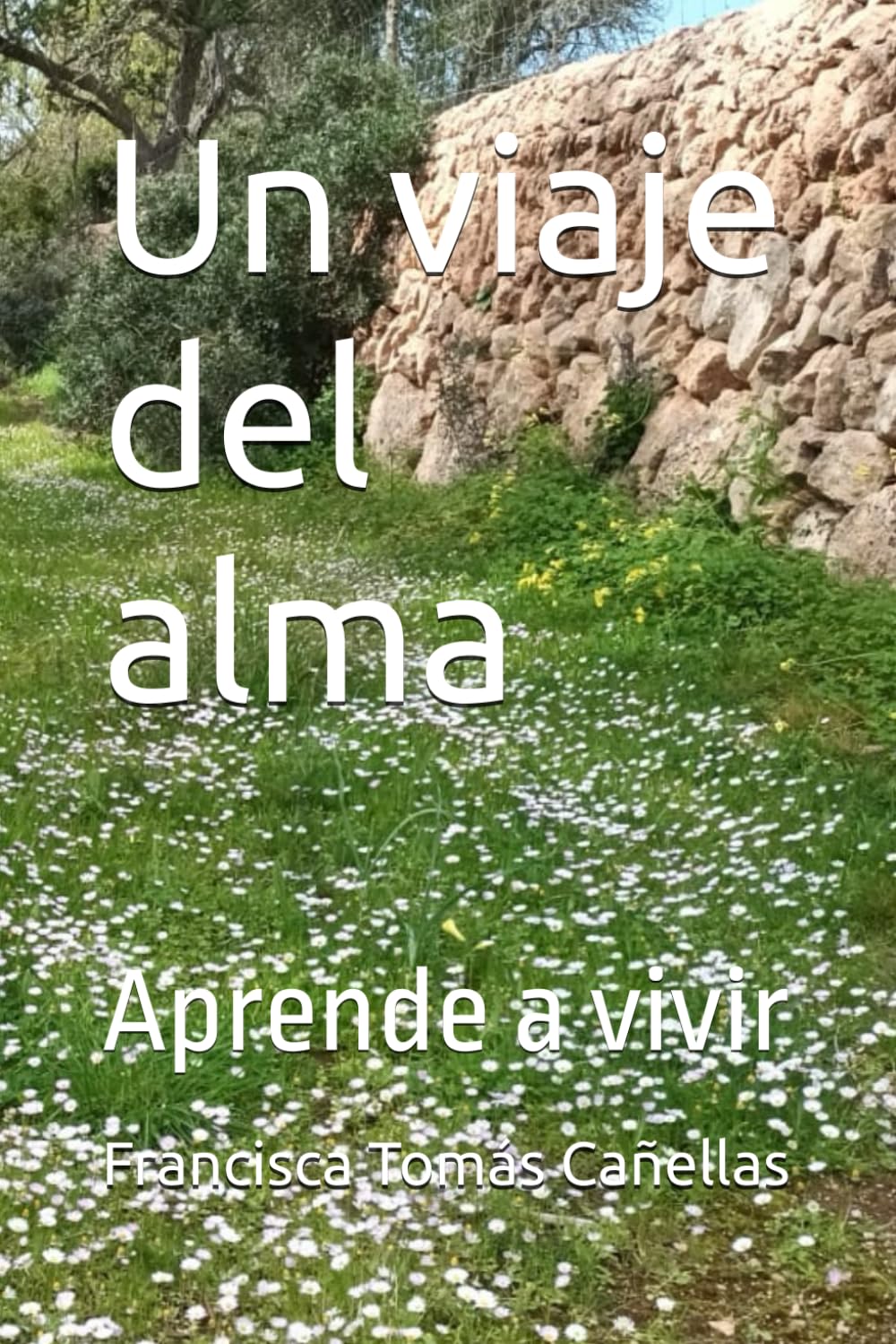 Un viaje del alma: Aprende a vivir