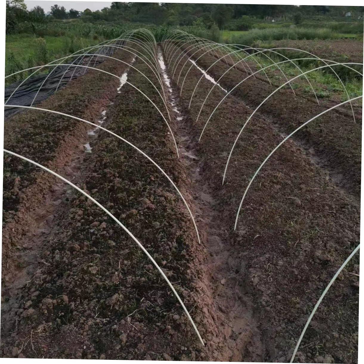 Tunnel pour Salade, Arceaux de Tunnel de Plantation en Polyéthylène et Fibre de Verre, Cadre en Croissance Pliable, 1 Set pour Potager