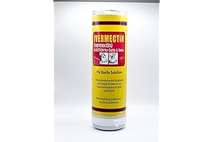 Vibe Cup with Speaker on Bottom: Elevate Your Hydration and Audio Experience