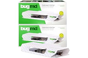BugMD Cockroach Catcher: The Ultimate Cockroach Control Solution