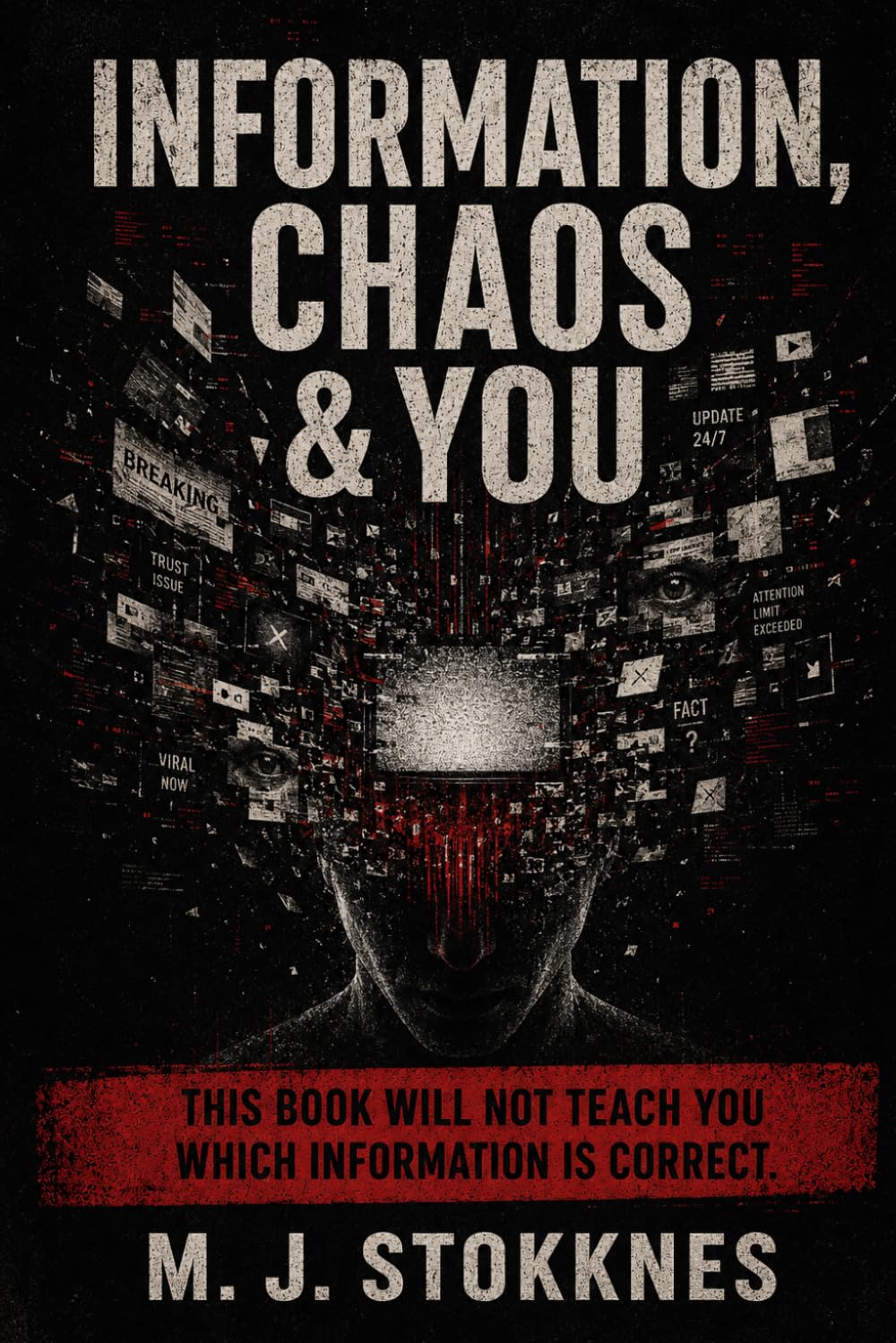 INFORMATION, CHAOS & YOU: This book will not teach you which information is correct. (The Age of Chaos)
