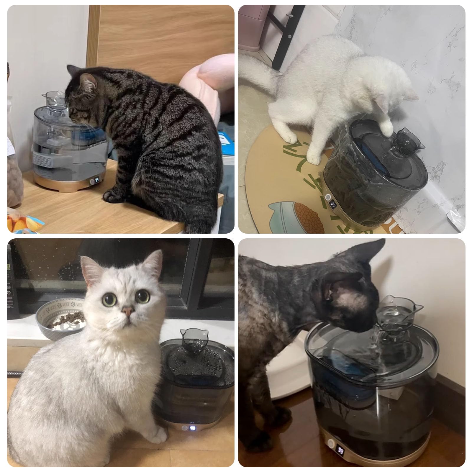 Fuente para Gatos Sin Cable, Fuente De Agua para Perros, Bebedero Gatos Automatico, 2.2L Fuente Agua Gatos con Bateria 4000Mah Recargable, 3 Filtros