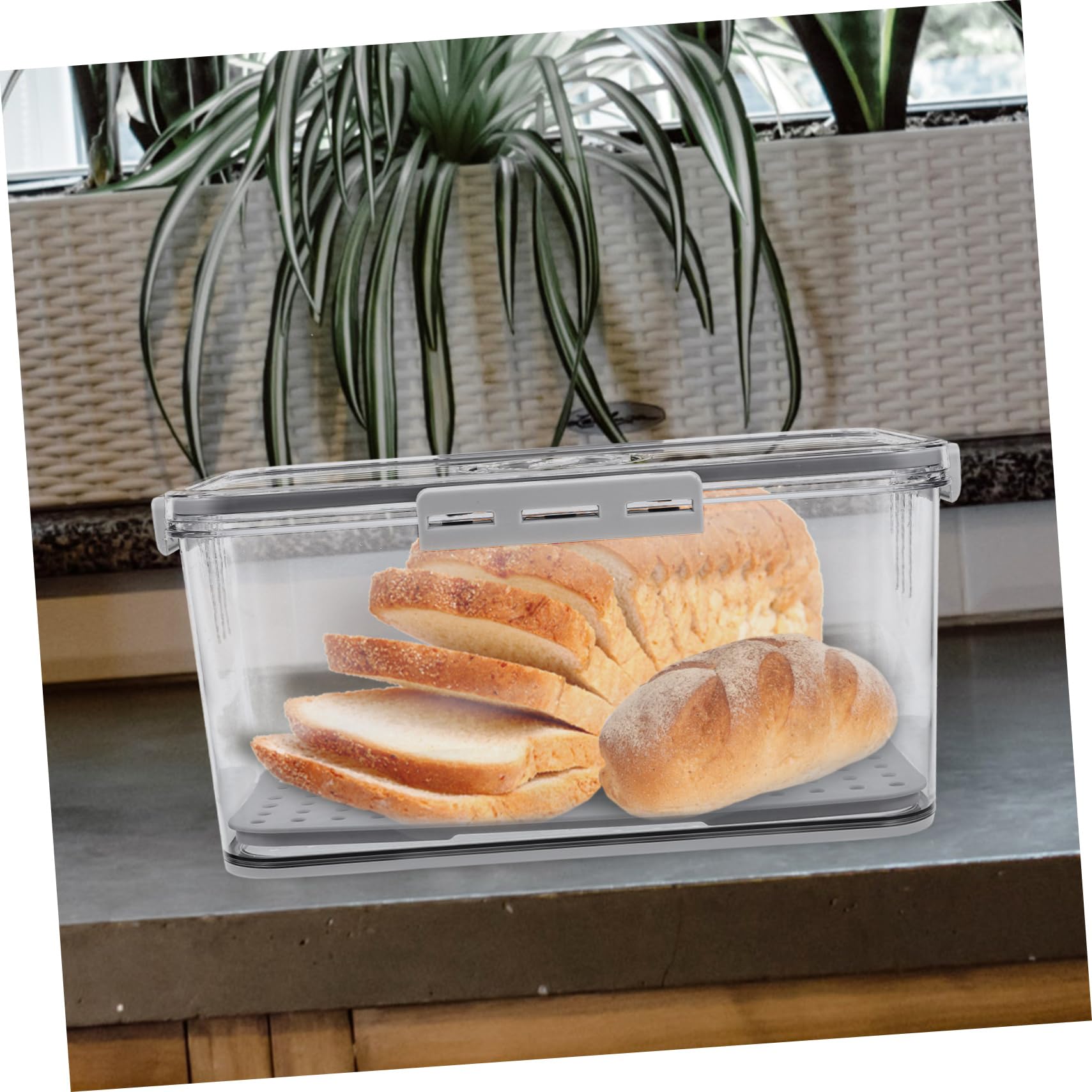 Zerodeko Caja Organizadora para Alimentos y Frutas con Tapa Hermética y Bandeja de Drenaje de Pet para Mantener Frescura en Refrigerador y Congelador