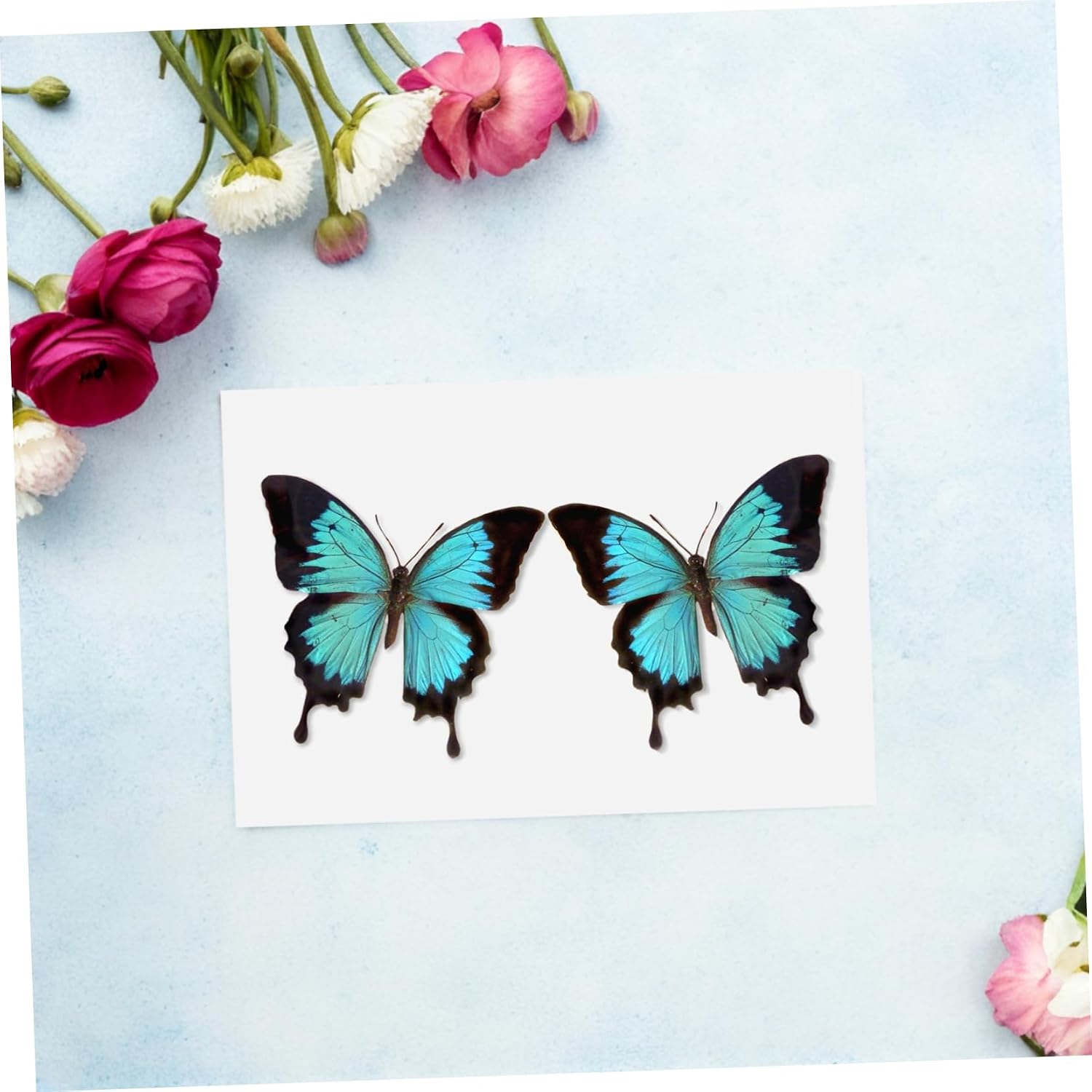 Garneck Eva Butterfly Pinning Pad Butterfly Display Organizer Party Decorations Specimen Collection Pad
