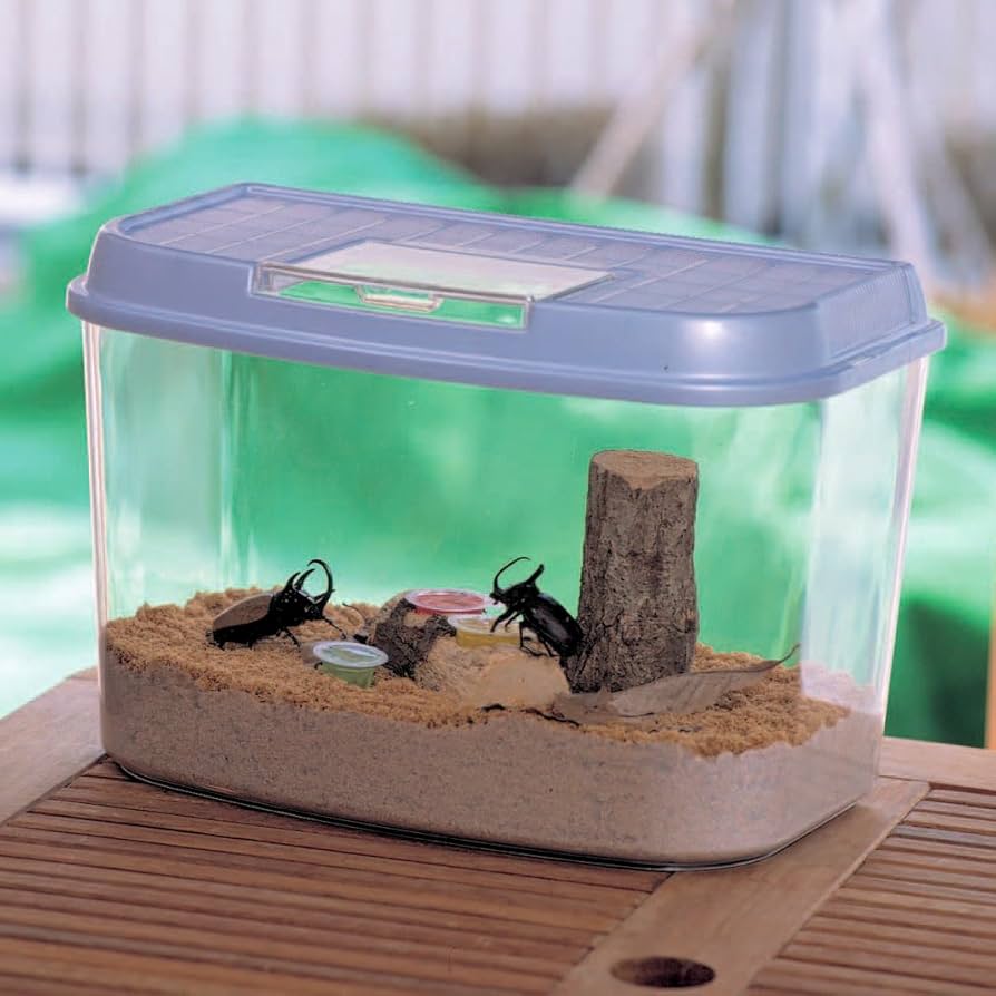 Amazon | アイリスオーヤマ 飼育ランド CY-L パールブルー