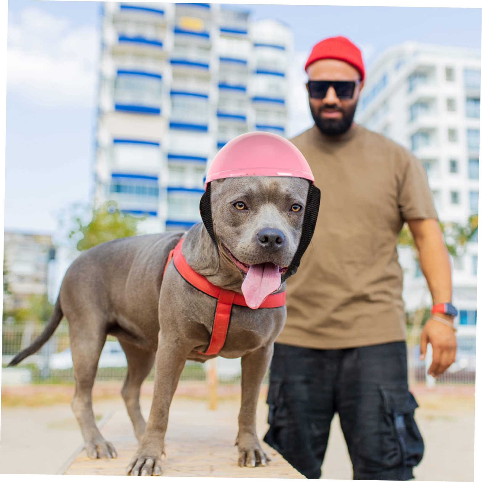FRCOLOR 3piezas Sombrero De Seguridad para Perros y Gatos Casco Decorativo De Plástico Protección para Mascotas para Fiestas y Eventos